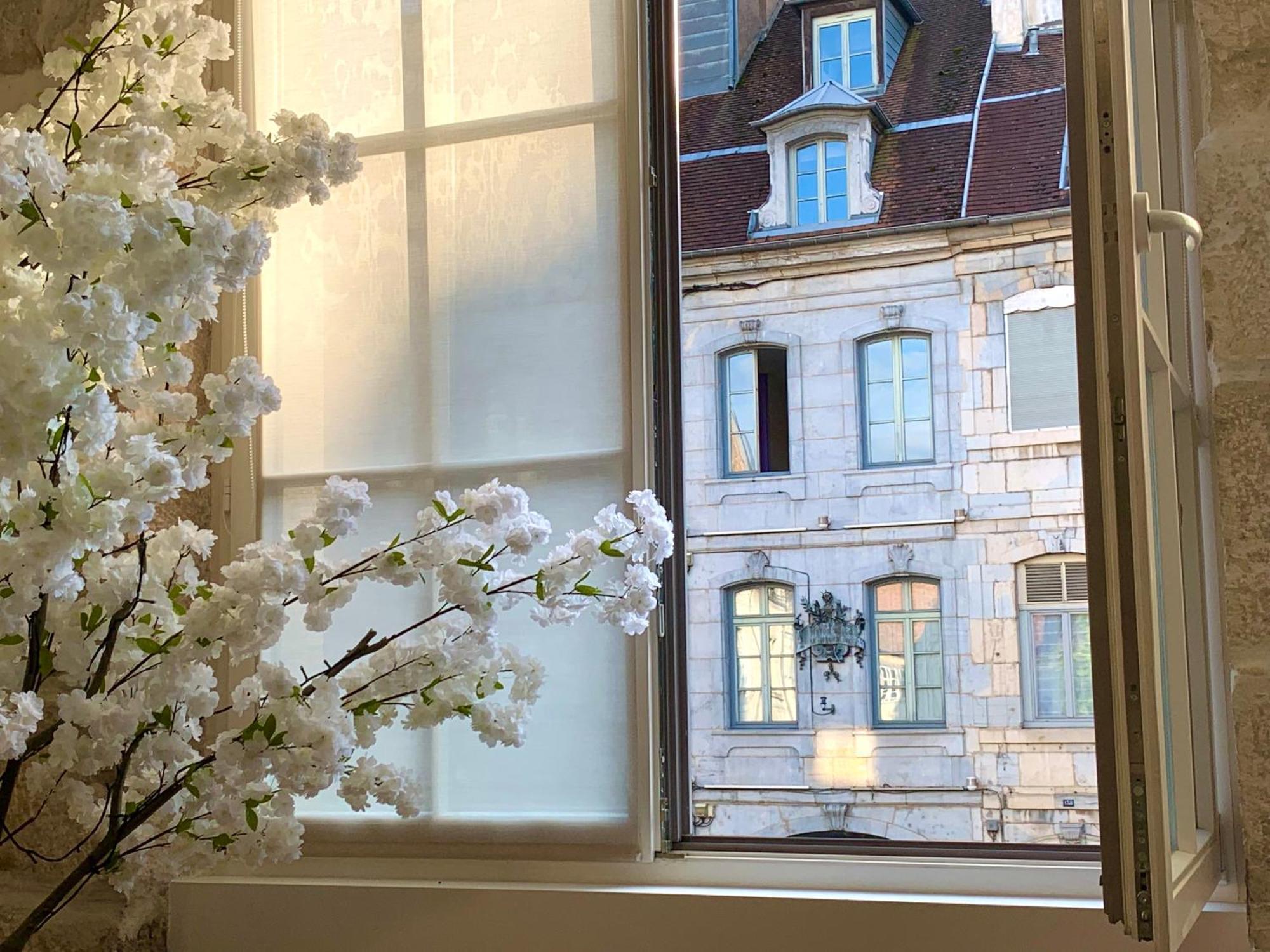 Les Fabuleux Appartements Du Coeur De Ville - Place Victor Hugo Besancon Ngoại thất bức ảnh